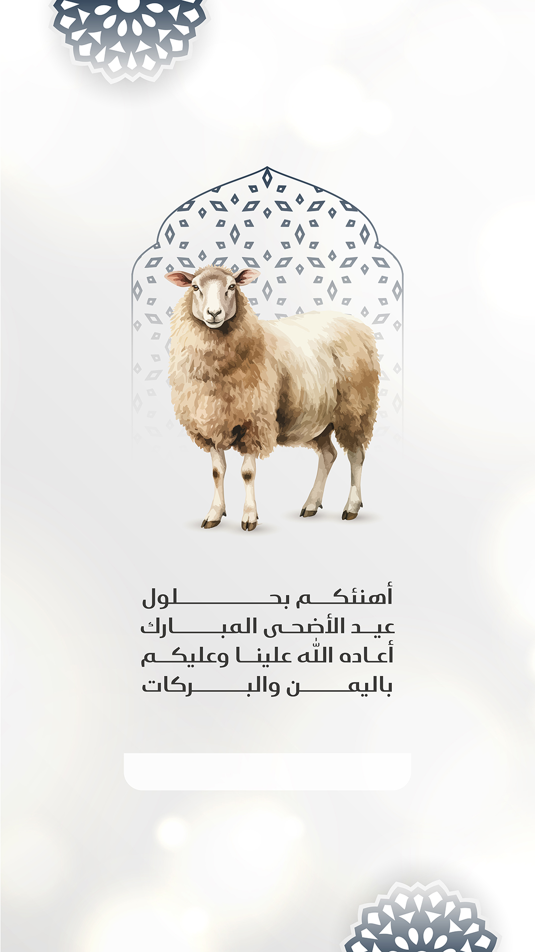 بطاقة من A7