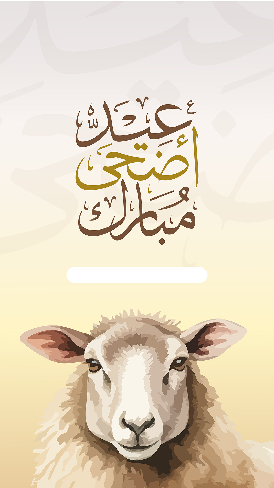 بطاقة من A7