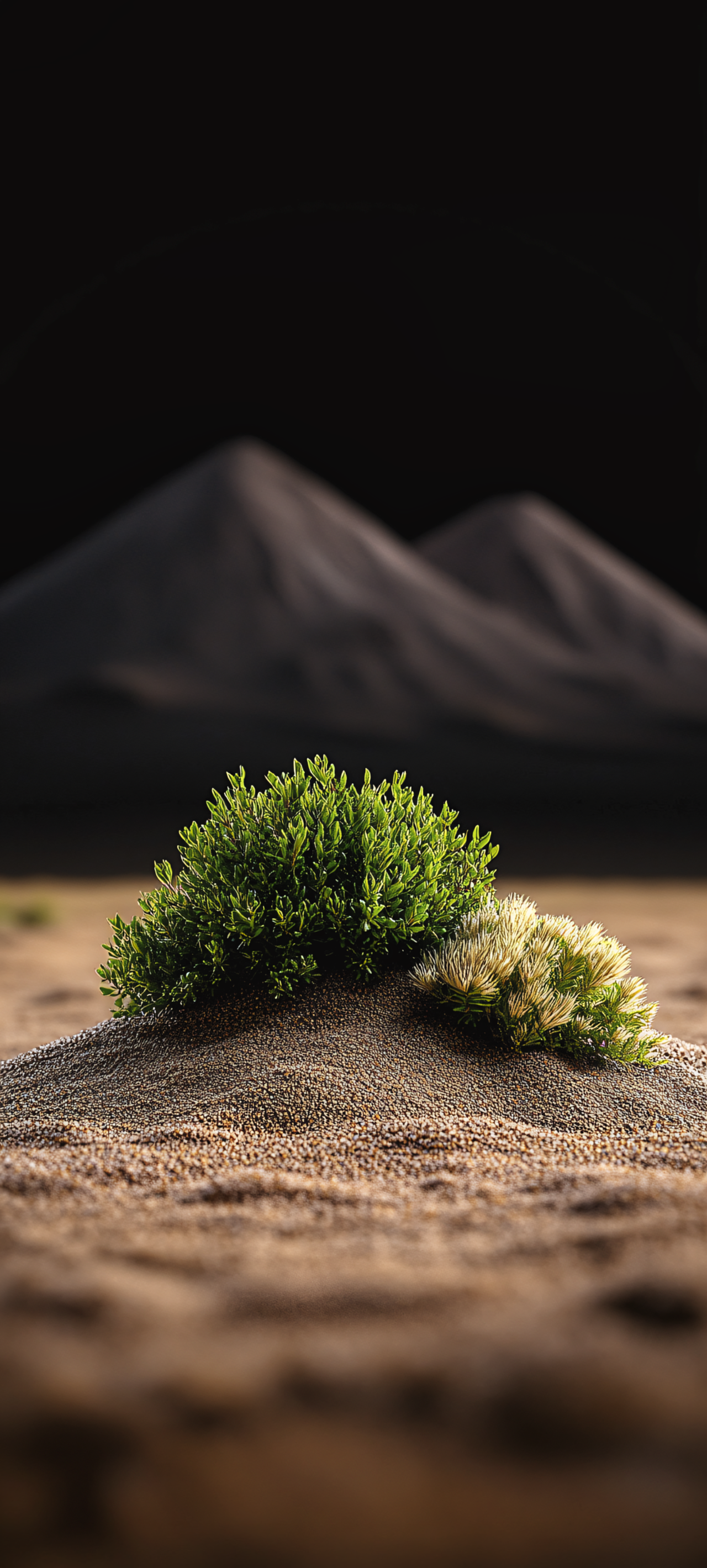 صحراء وكثبان