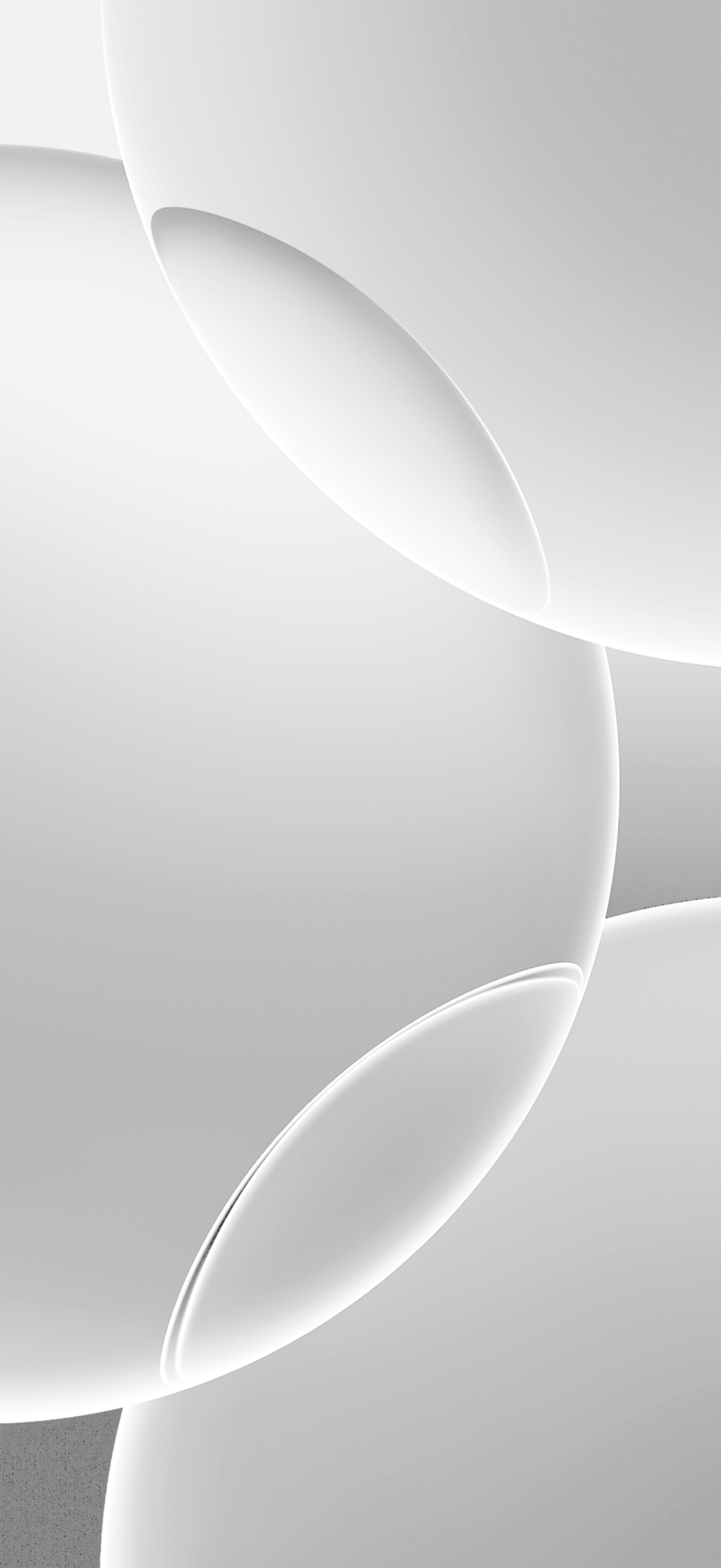تصميم بسيط