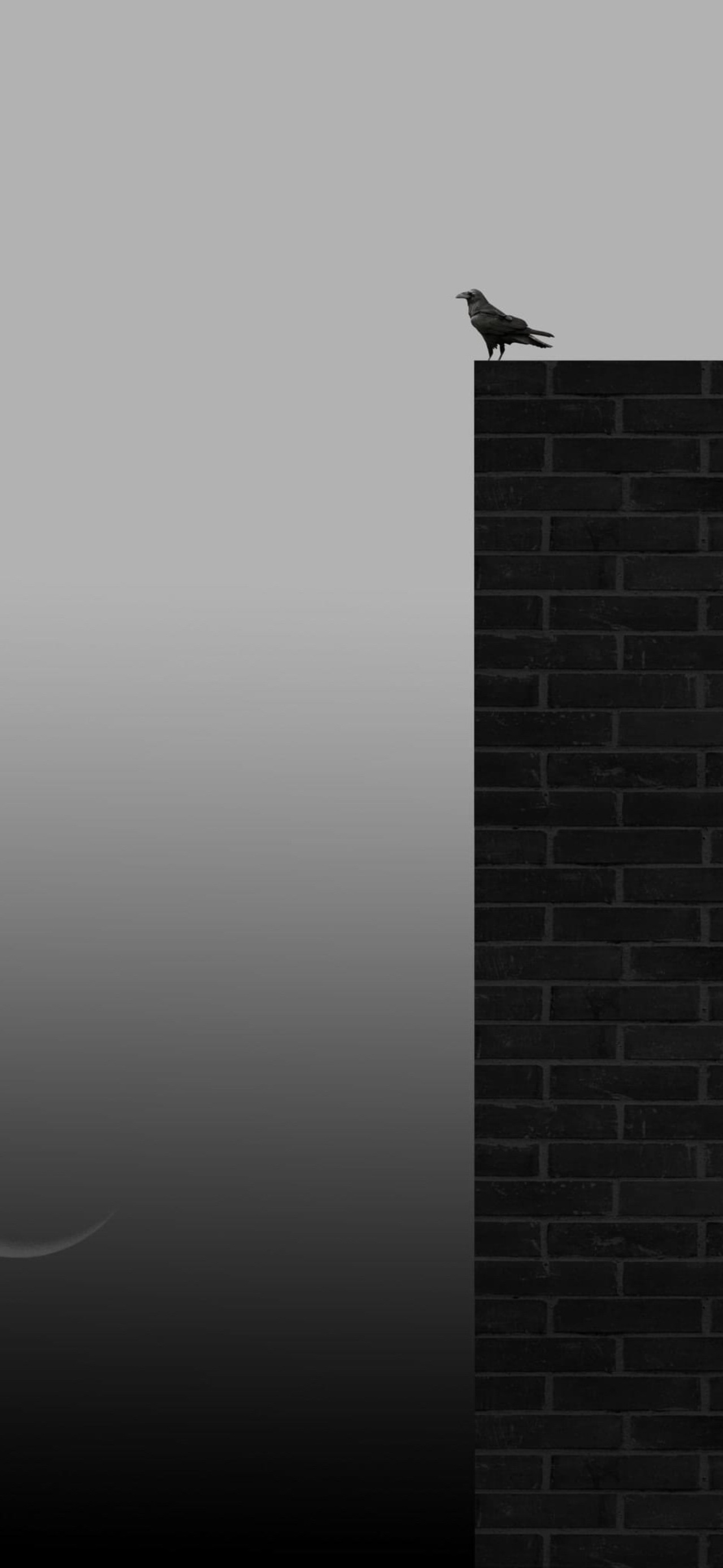 تصميم بسيط