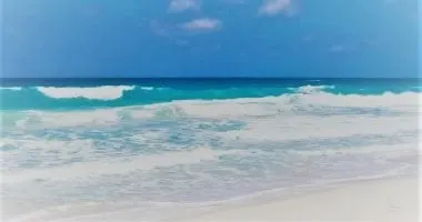 قبل ما تنزل البحر بالتليفون.. لا تنخدع بعبارة مقاوم للماء وتصنيف IP68 — Before you dive into the sea with your phone... Don't be fooled by the waterproof phrase and IP68 classification